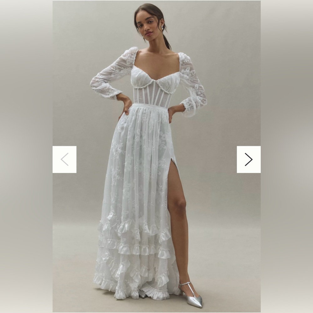 V. Chapman Carmella Long Sleeve Ruffle Chiffon Maxi Dress
